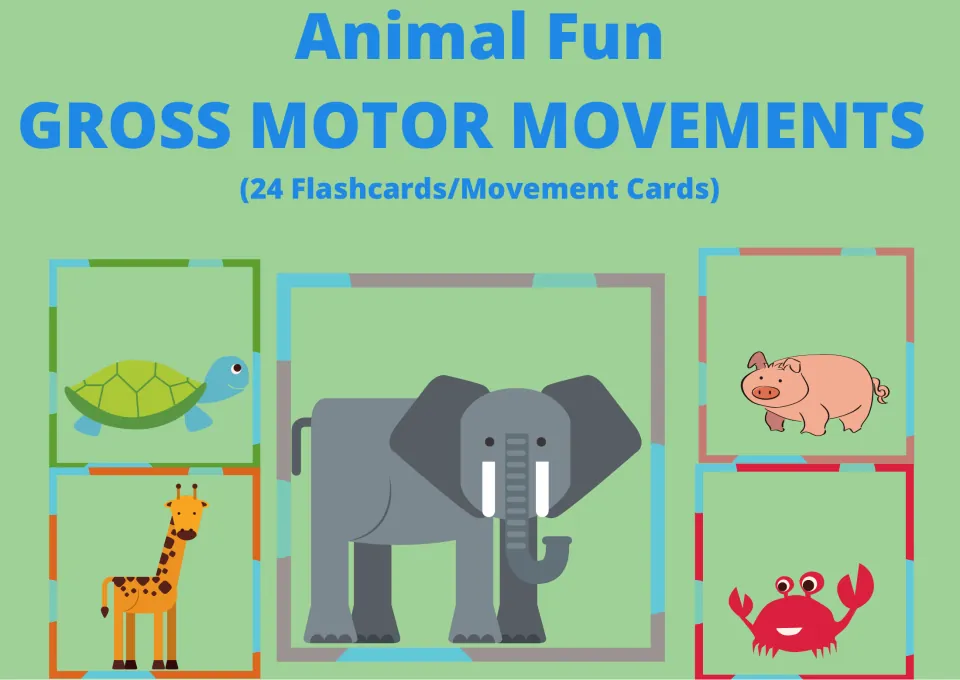 Cover for 24 animal movement cards, headed 'Animal Fun' and 'Gross Motor Movements,' with animal pictures