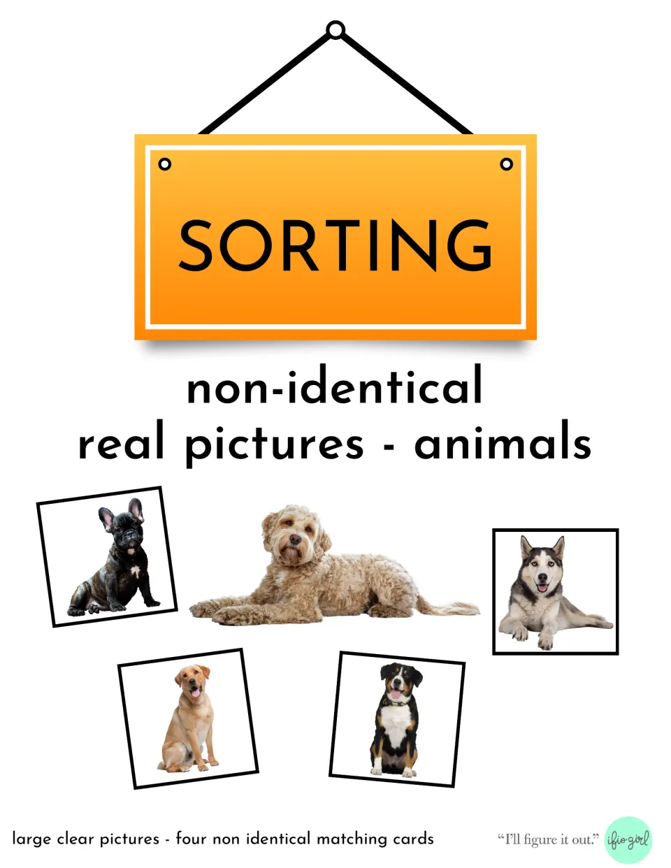 Cover of the animal photo sorting resource, showing a large dog photo and four different dog matching cards