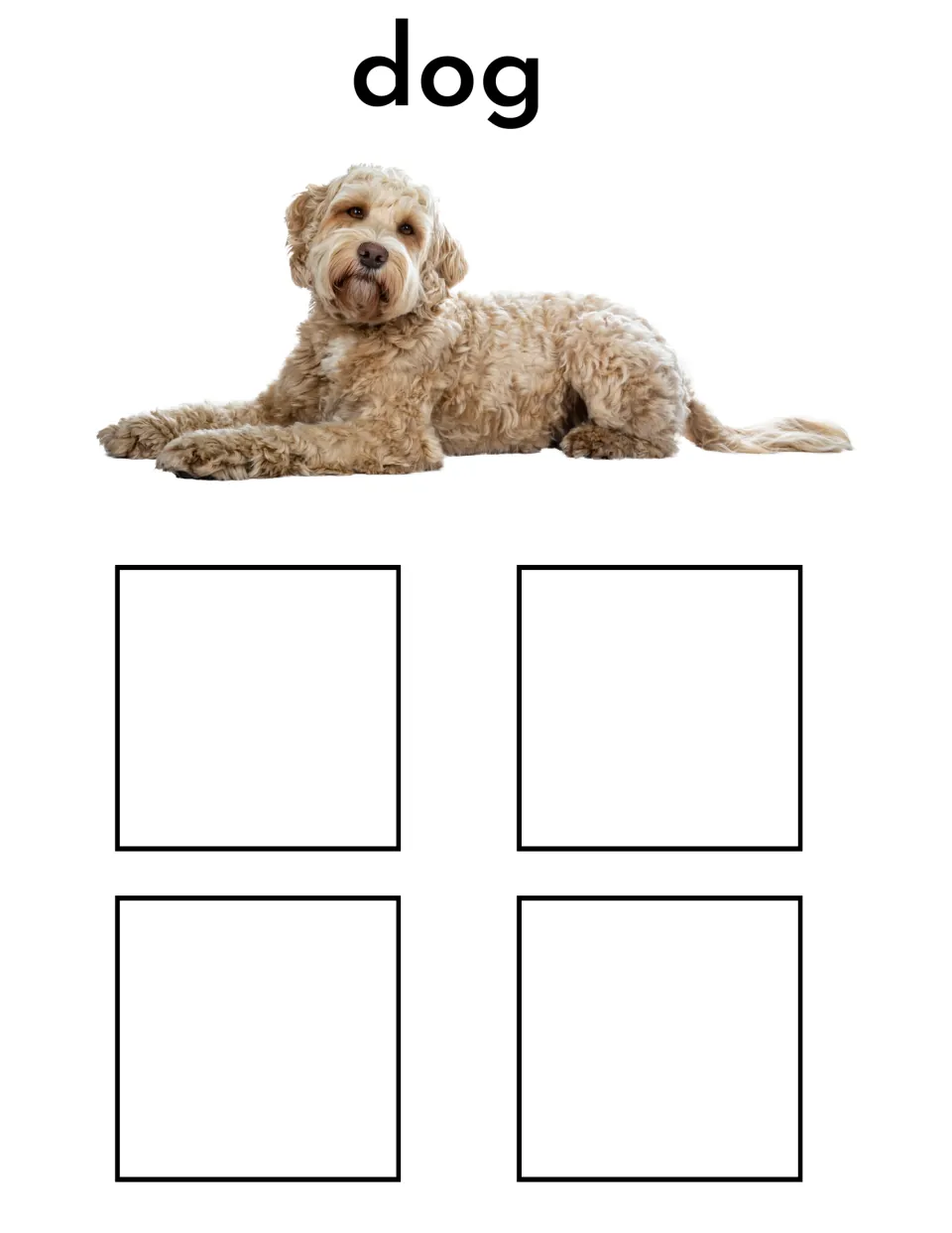 Dog sorting mat featuring the label 'dog' and a cream-colored dog photo for matching four different dog cards