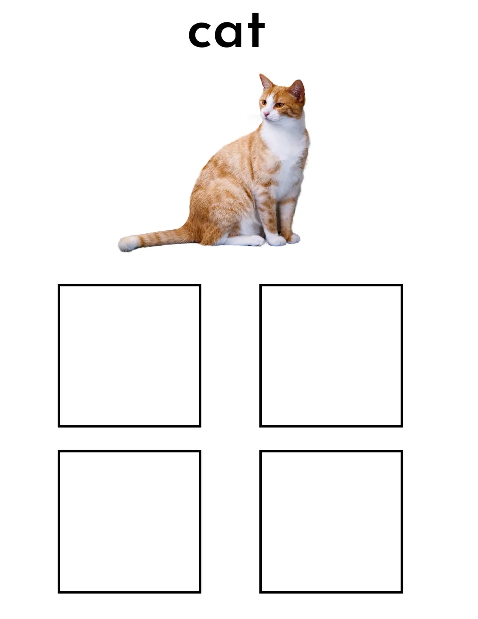 Cat sorting mat featuring the label 'cat' and an orange-and-white cat photo for matching four different cat cards