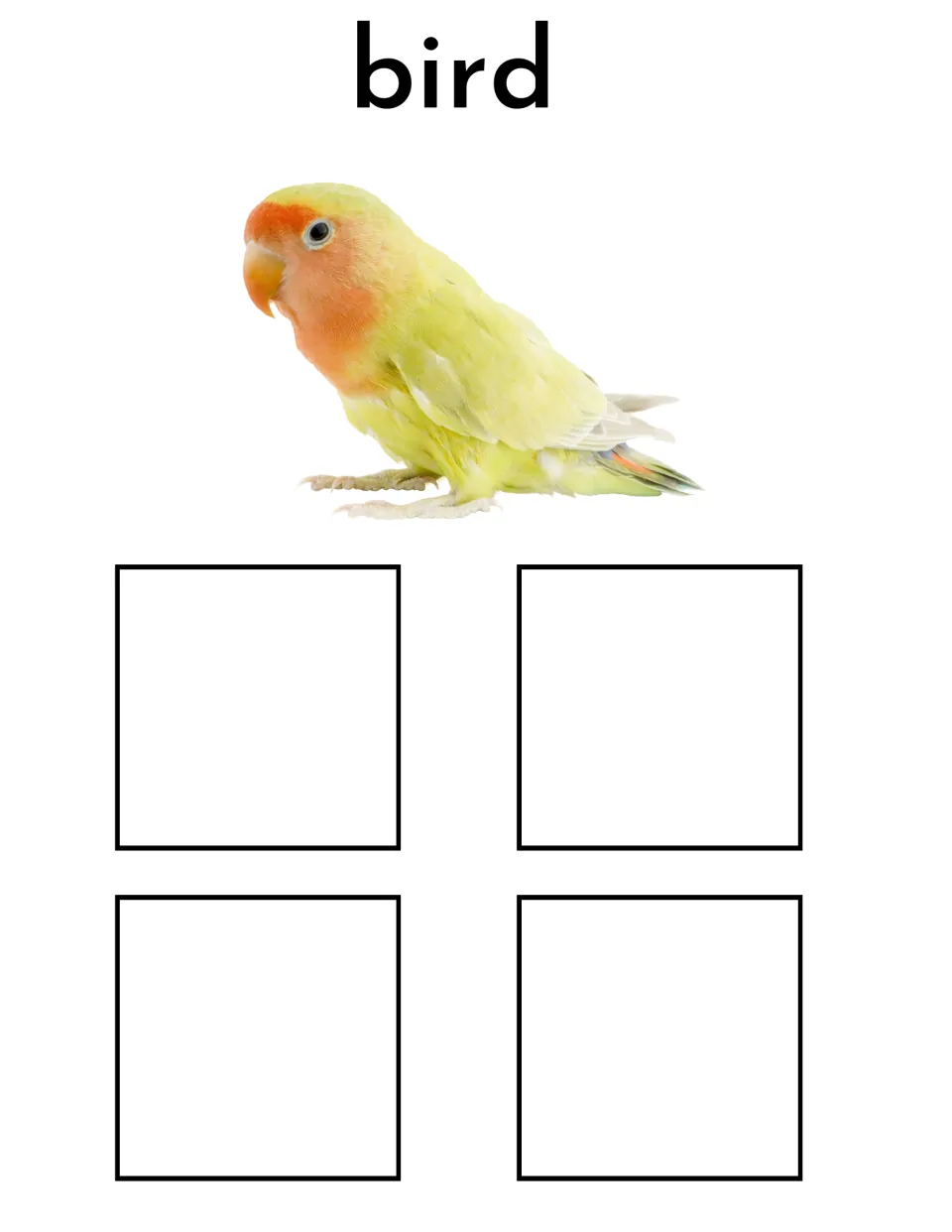 Bird sorting mat featuring the label 'bird' and a yellow bird photo for matching four different bird cards