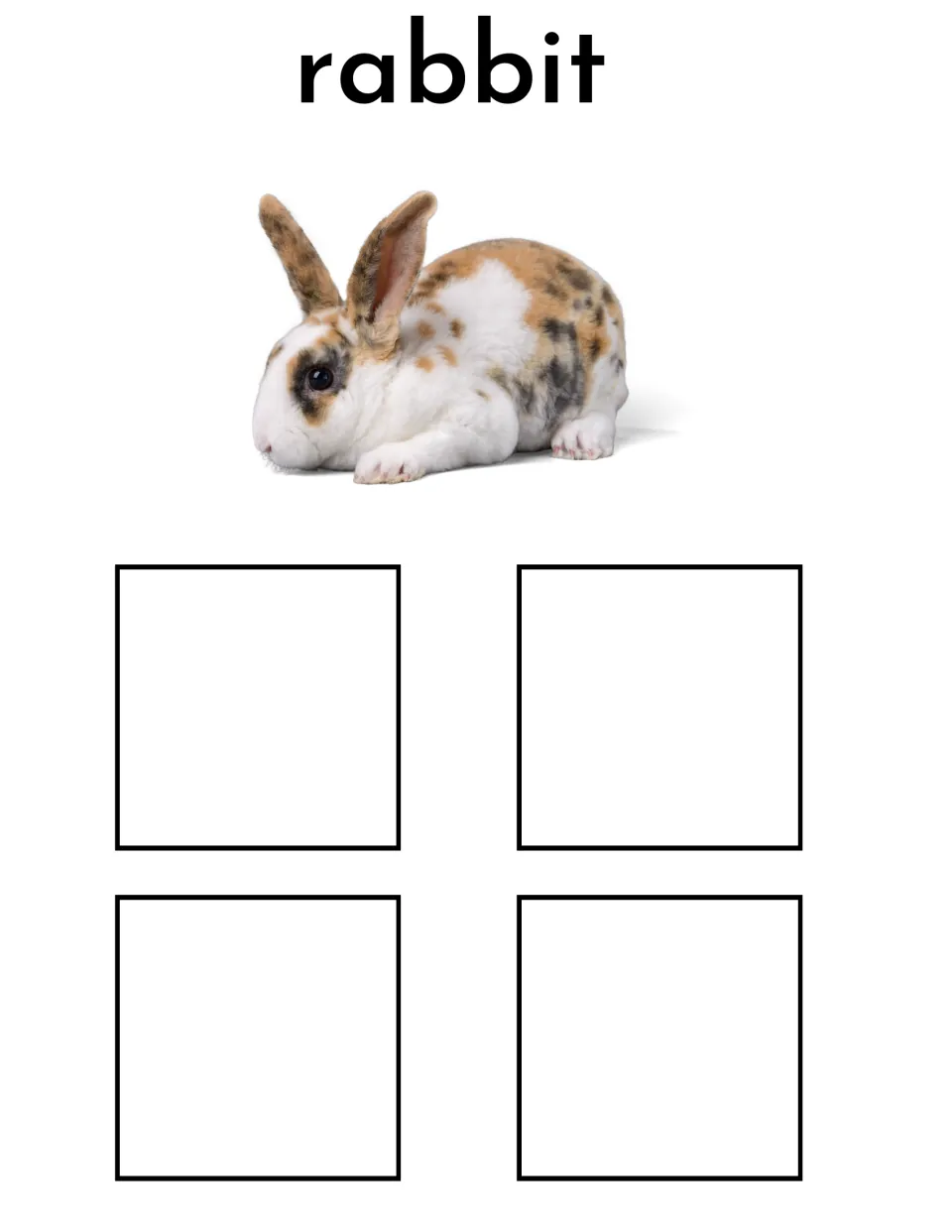Rabbit sorting mat featuring the label 'rabbit' and a spotted rabbit photo for matching four different rabbit cards