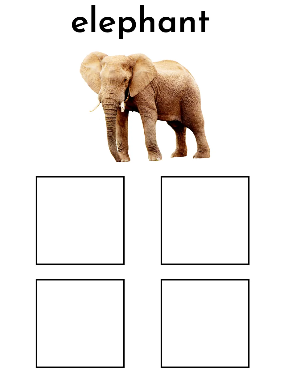 Elephant sorting mat featuring the label 'elephant' and an elephant photo for matching four different elephant cards