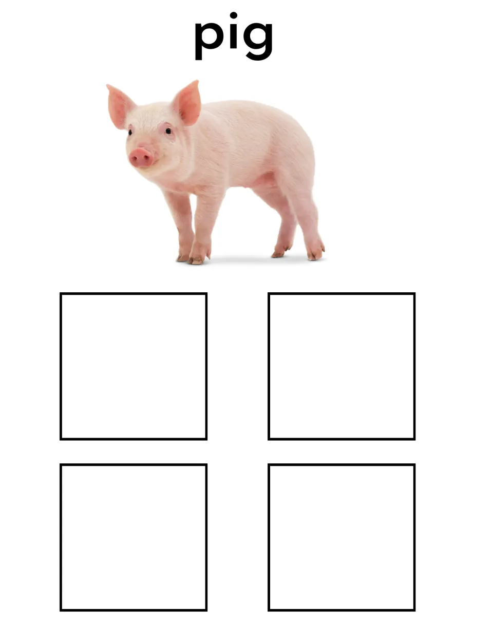 Pig sorting mat featuring the label 'pig' and a pink pig photo for matching four different pig cards