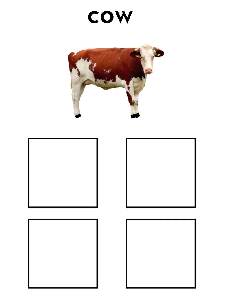 Cow sorting mat featuring the label 'cow' and a brown-and-white cow photo for matching four different cow cards