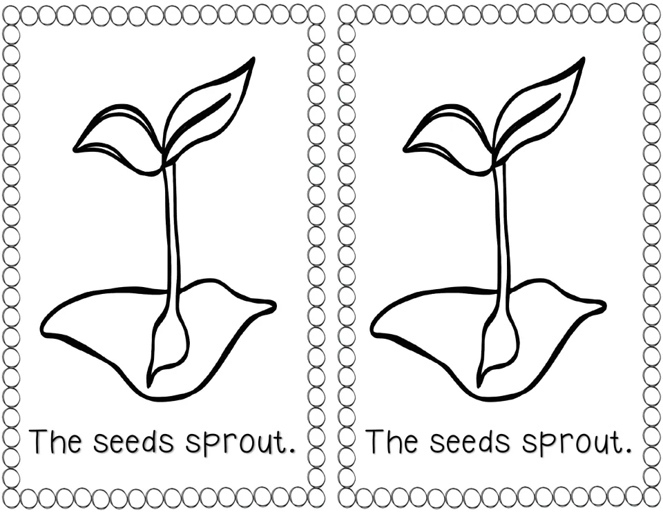 Germination: a seedling with two leaves pushes up from the soil, its seed below, with the line 'The seeds sprout.'