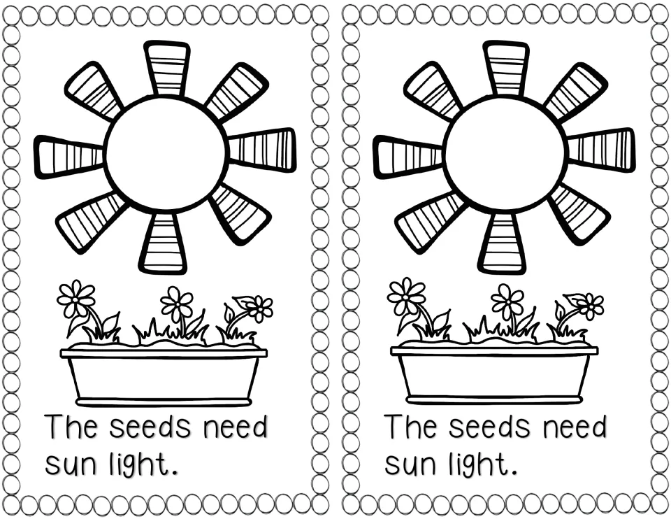 Plant needs: a large sun shines over a window box of blooming flowers, with the sentence 'The seeds need sun light.'