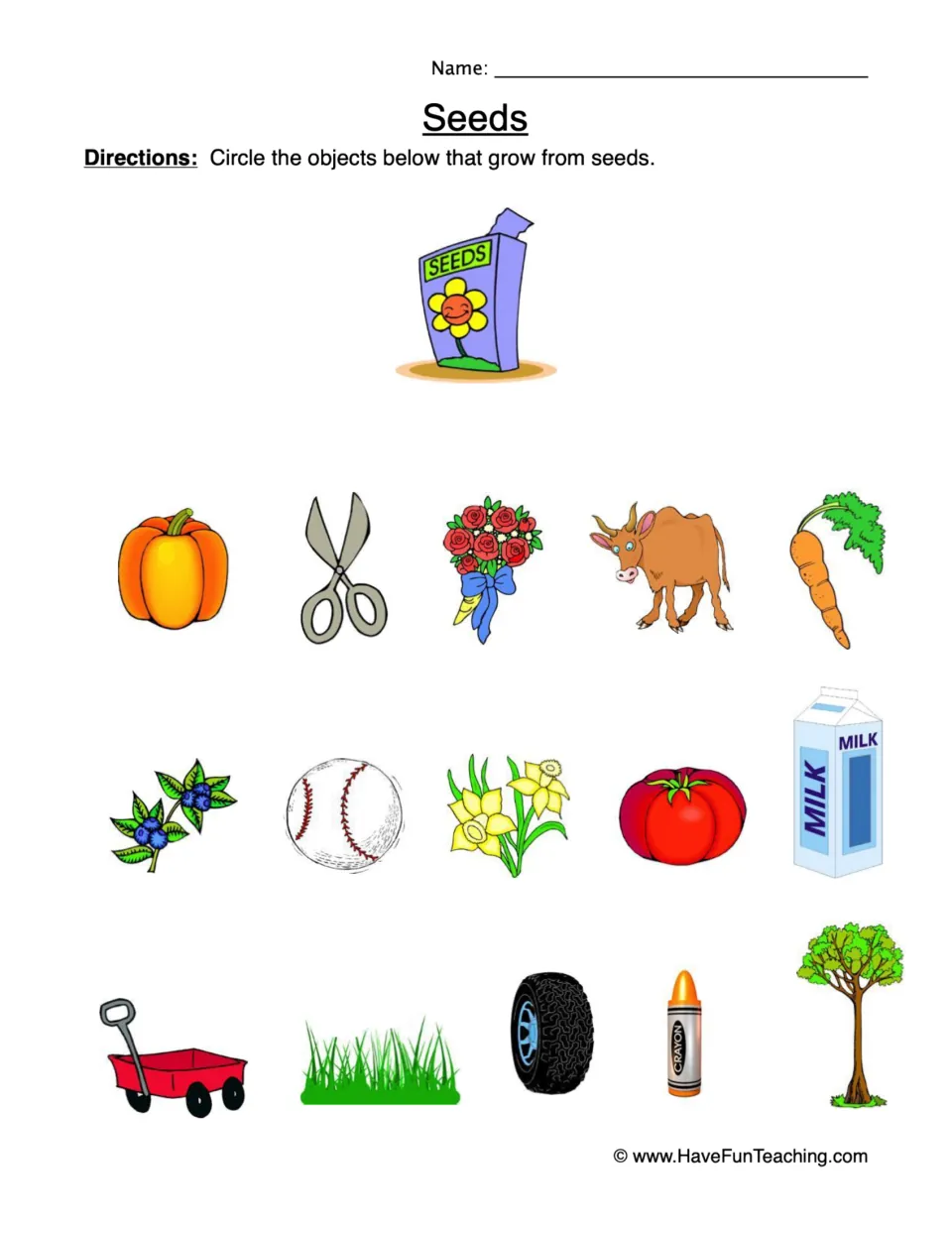 Seeds: students circle pictures of things that grow from seeds, such as a pepper, carrot and tree, not scissors or milk