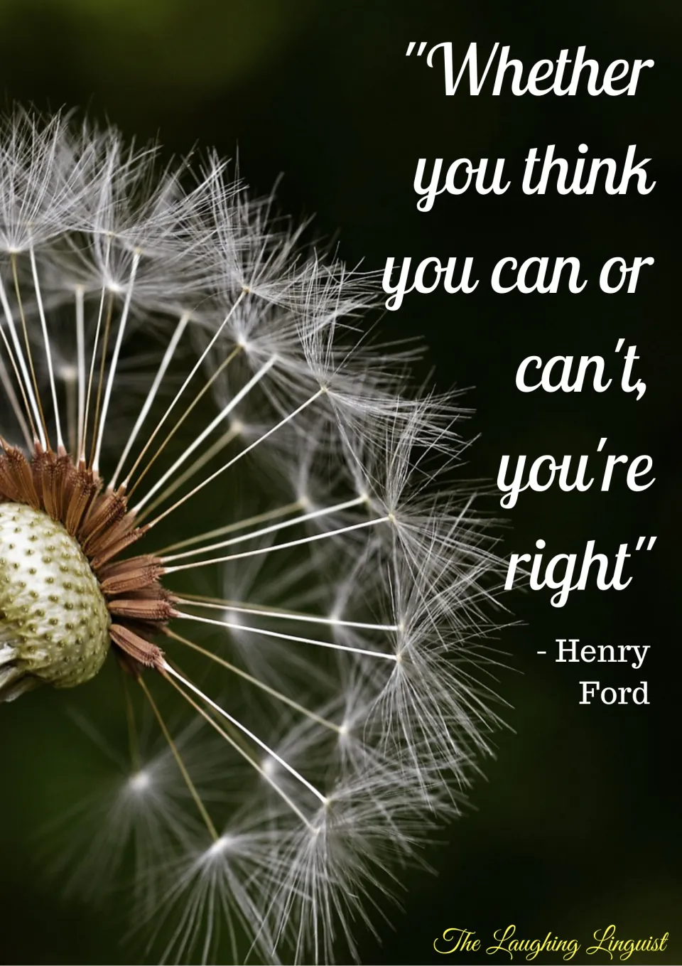Henry Ford poster quote "Whether you think you can or can't, you're right" set beside a close-up of a dandelion seed head