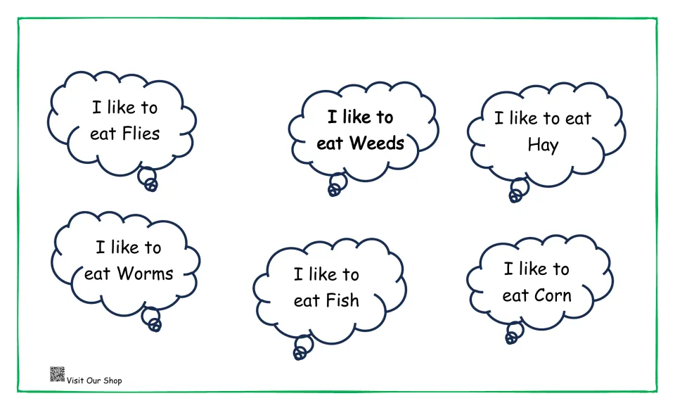 More animal food cards: six 'I like to eat' clouds naming flies, weeds, hay, worms, fish and corn for students to match