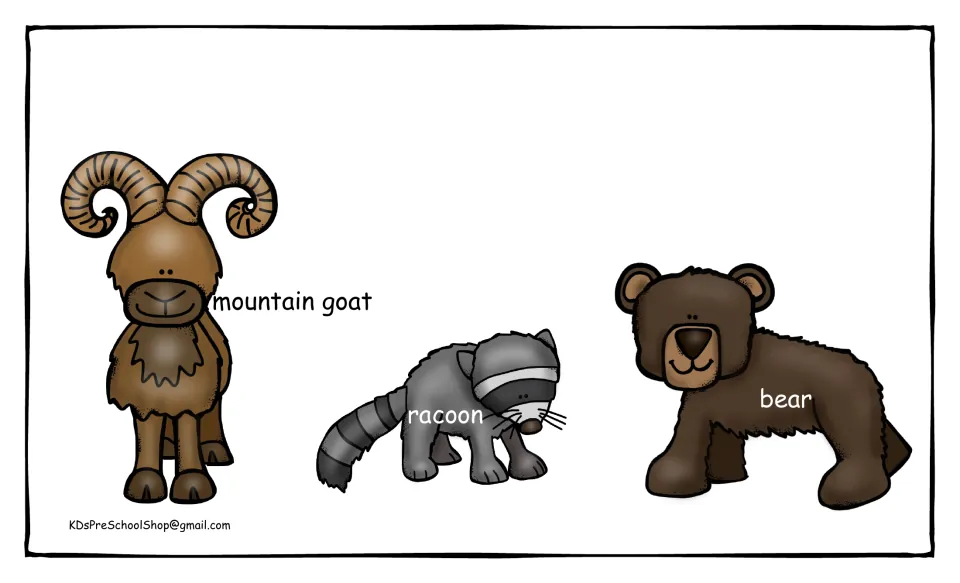 Mountain animal pictures: a labeled mountain goat, raccoon and bear for students to name and guess what each one eats