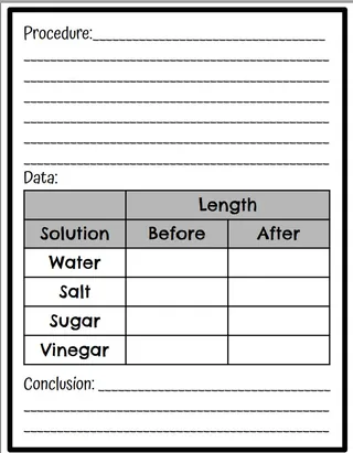 Gummy Bear Investigation Lab – sample page 3
