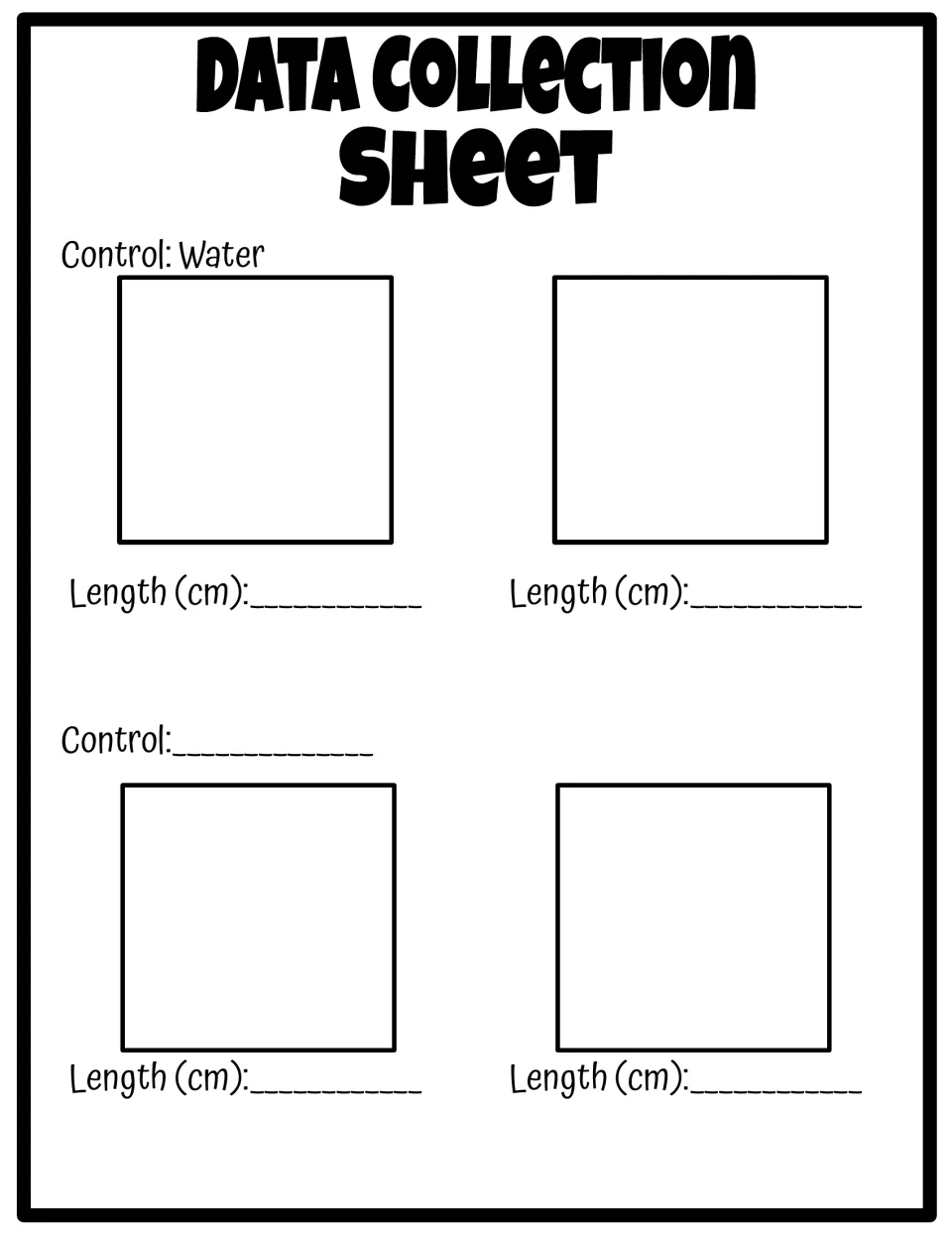 Data collection sheet with water as the control: students draw gummy bears and record four lengths in centimeters