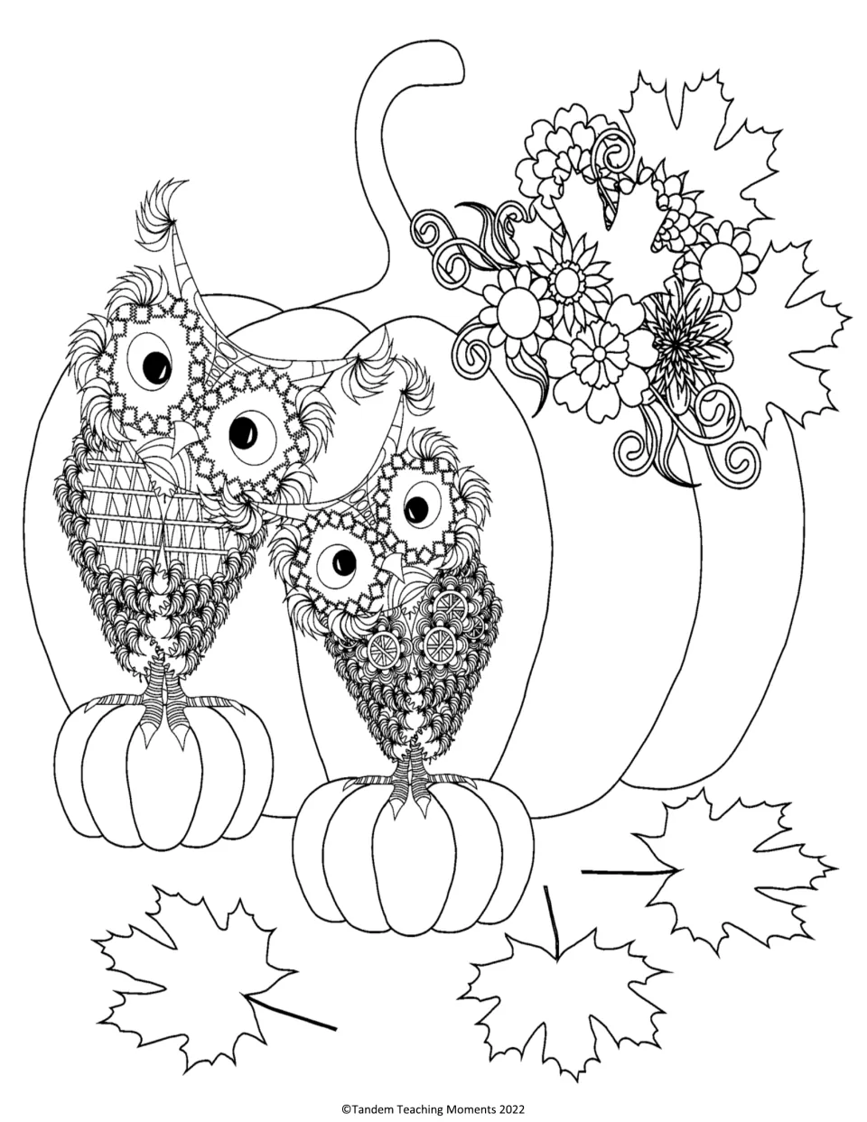 Autumn owls coloring page: students color two pairs of patterned owls perched on pumpkins beside fall leaves and flowers