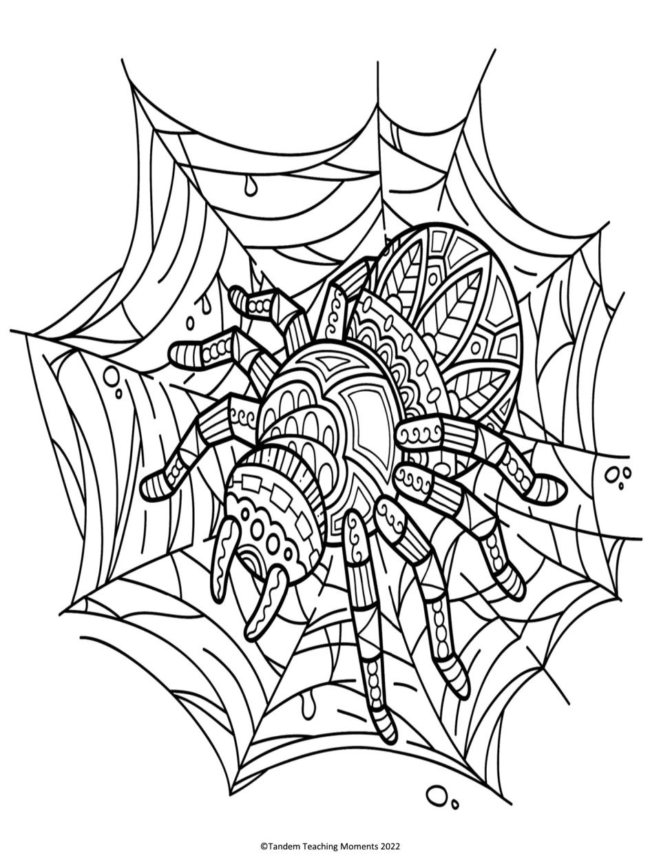 Spider coloring page: students color a large patterned spider with segmented legs sitting at the center of a dripping web