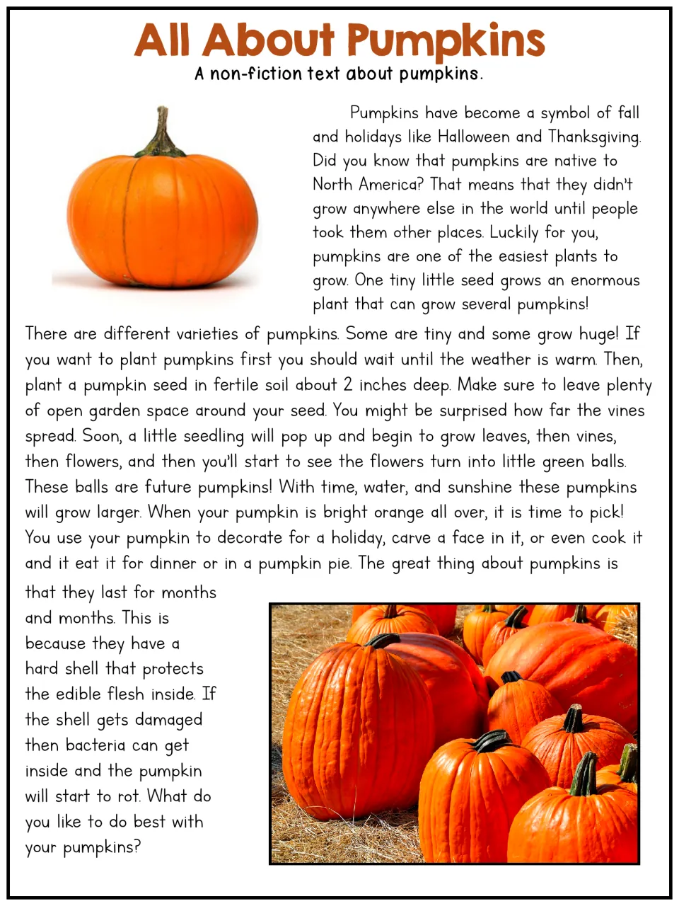 All About Pumpkins, a longer article: students read how to plant and grow pumpkins and why the hard shell protects them