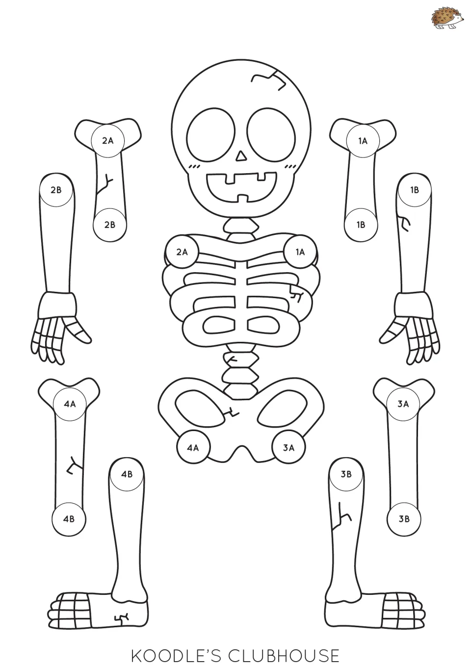 Skeleton puppet template with a round-eyed grinning skull: color, cut out, and match numbered joints 1A to 4B for split pins