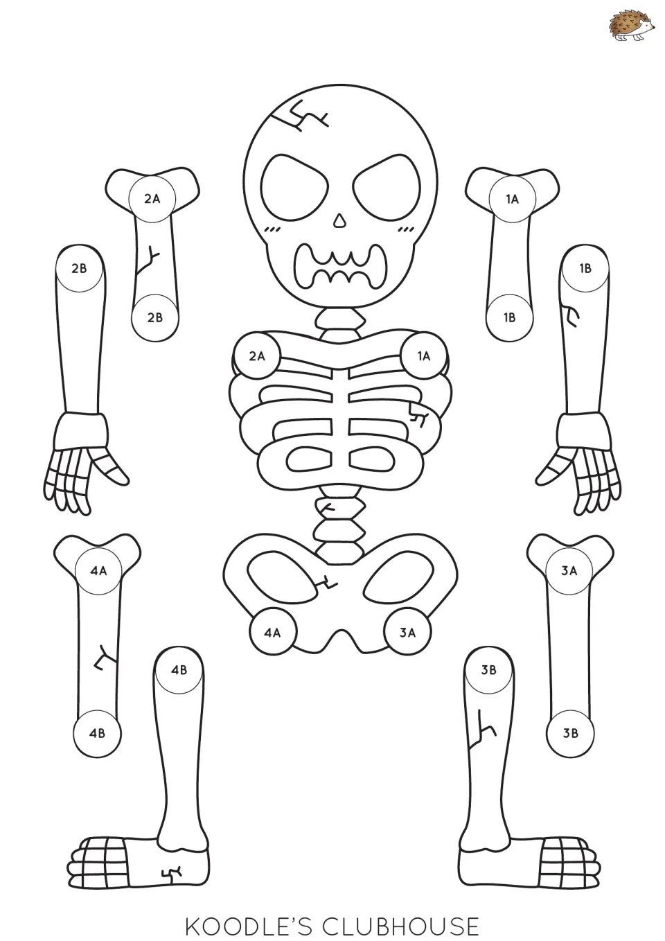 Angry skeleton, skull crack on the left side: color and cut out the bones, then join joints 1A to 4B with split pins