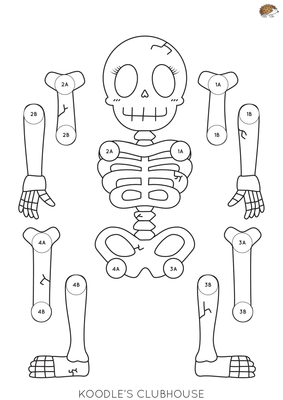 Skeleton with eyelashes and a toothy smile: color, cut out limbs and torso, then line up numbered circles to pin joints