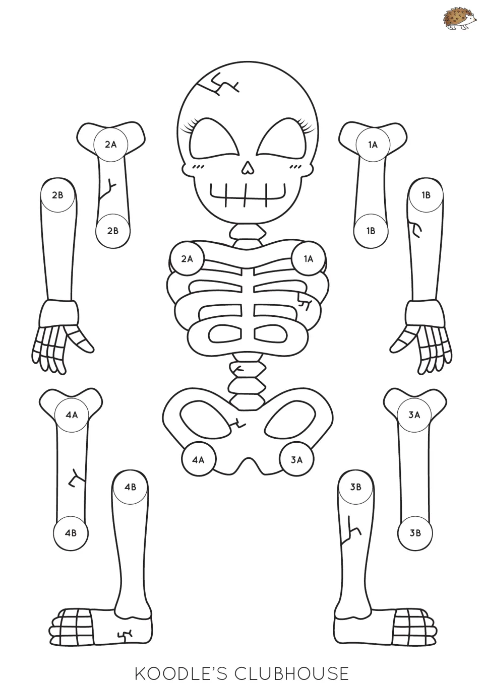 Sleepy-eyed skeleton with long lashes: students color and cut out the bones, then fasten matching 1A to 4B joints