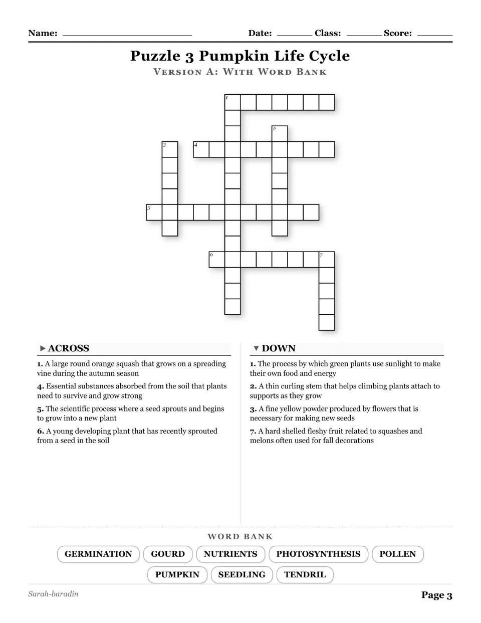 Pumpkin Life Cycle crossword with a word bank: germination, gourd, nutrients, pollen, and four more terms