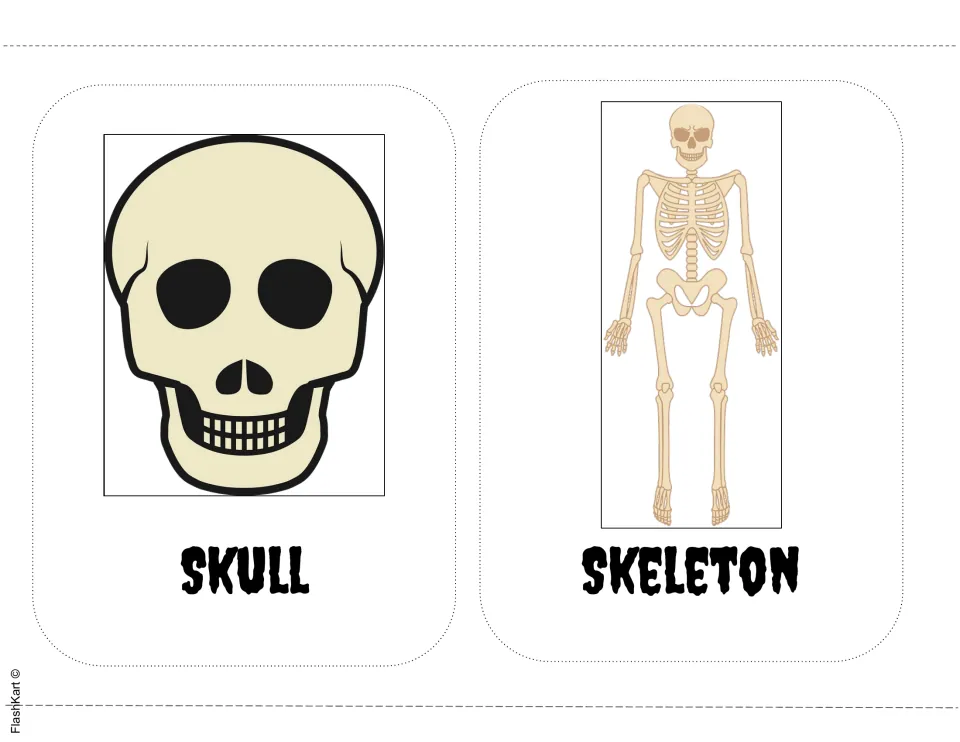 Halloween picture-word cards showing a cartoon skull and a full standing human skeleton, labeled Skull and Skeleton