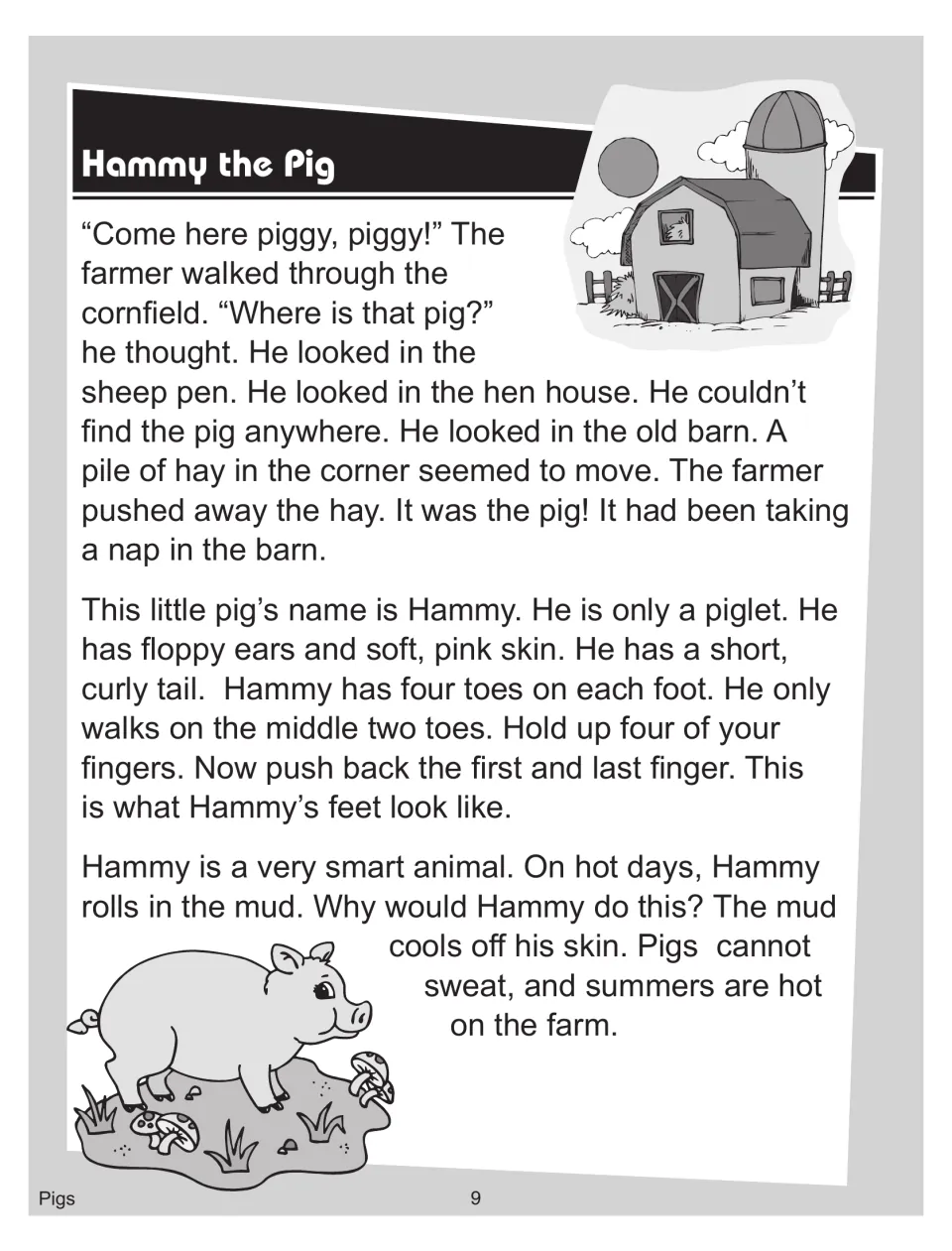 Reading passage part 1: a farmer finds Hammy the piglet napping in the barn, plus his toes and why pigs roll in mud