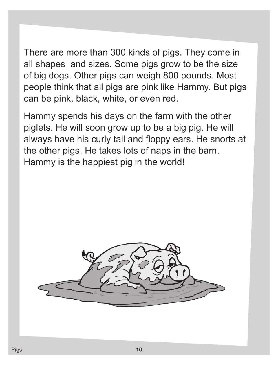 Reading passage part 2: more than 300 kinds of pigs in many colors, and Hammy's days on the farm, with a pig in mud