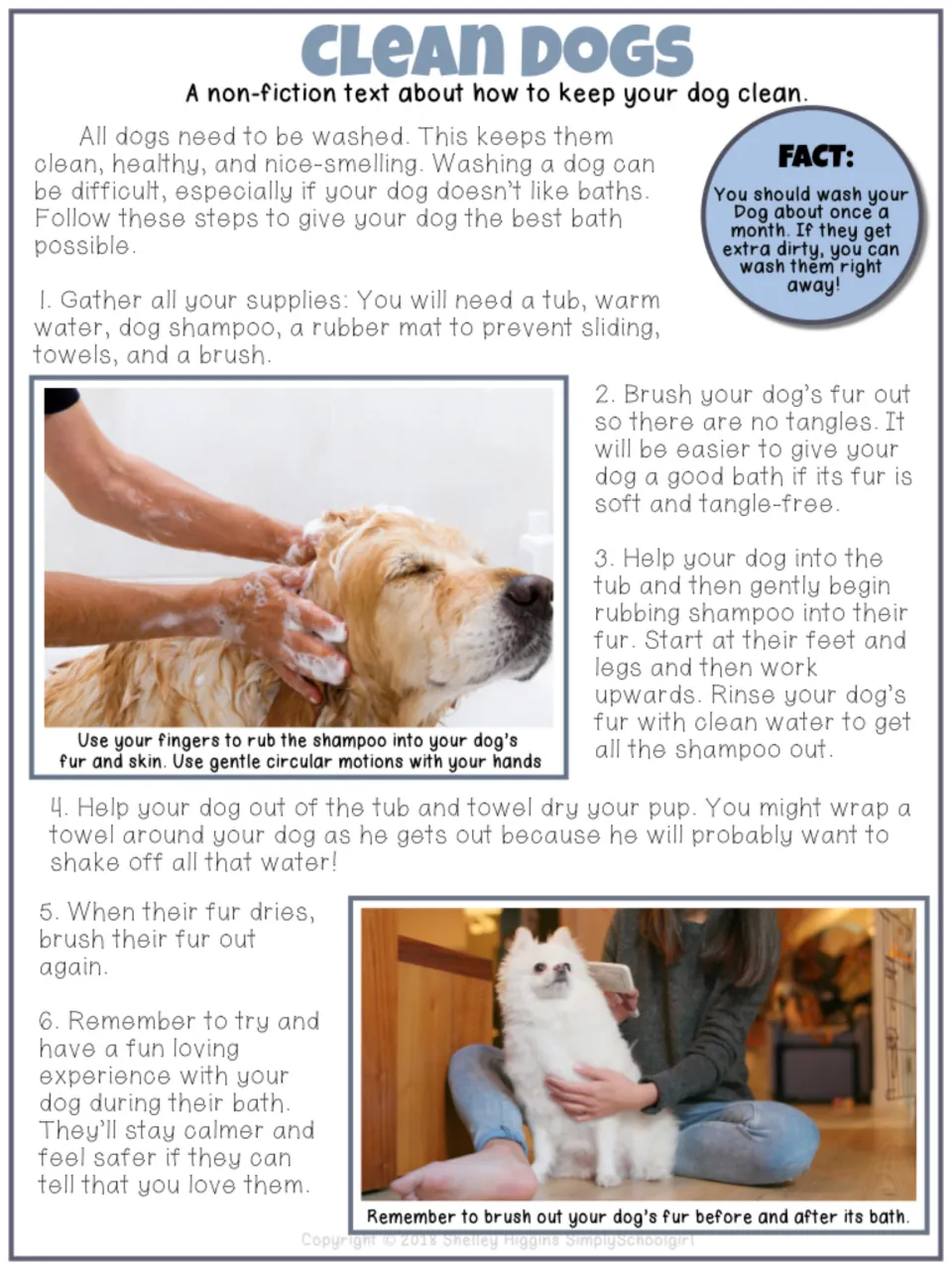 Clean Dogs nonfiction text: six numbered steps for bathing a dog, with a fact bubble and photos of shampooing and brushing