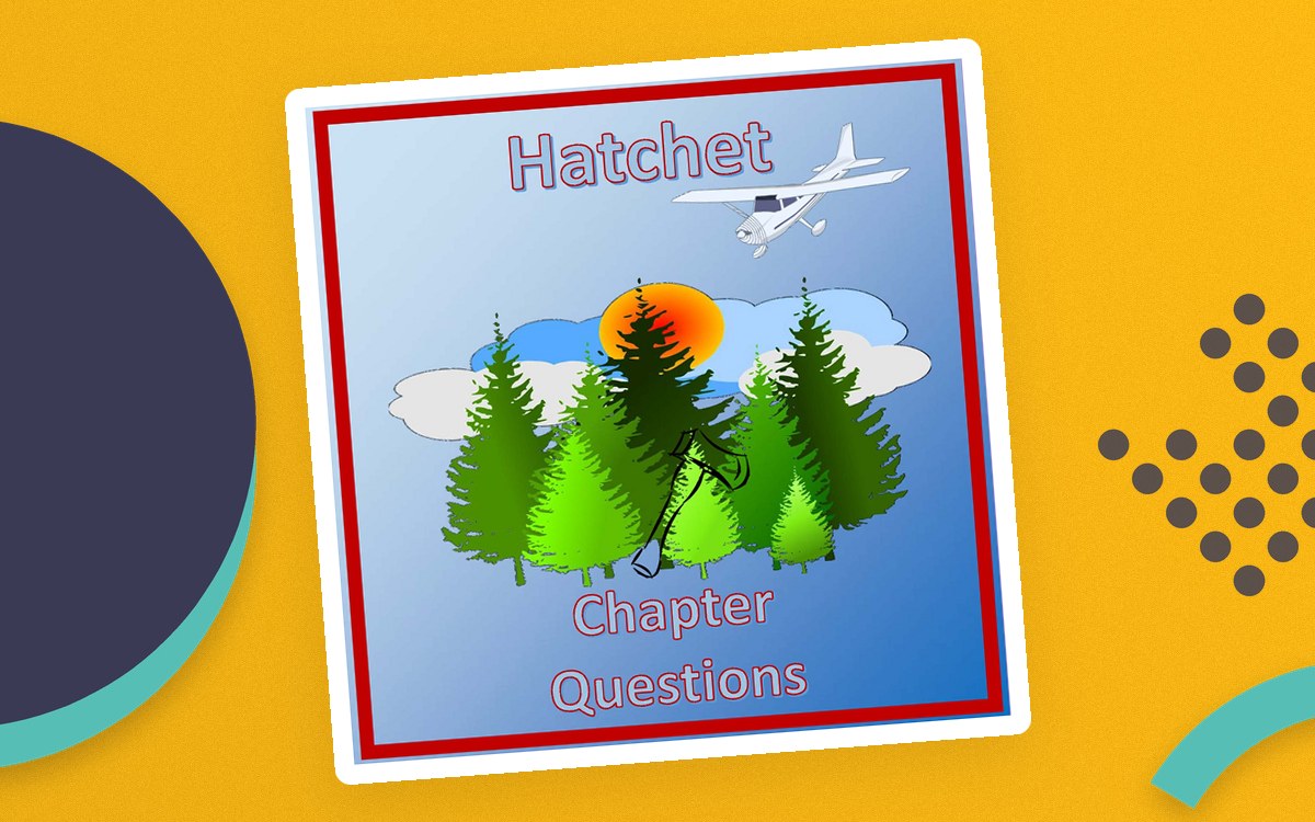 Hatchet Chapter Questions preview
