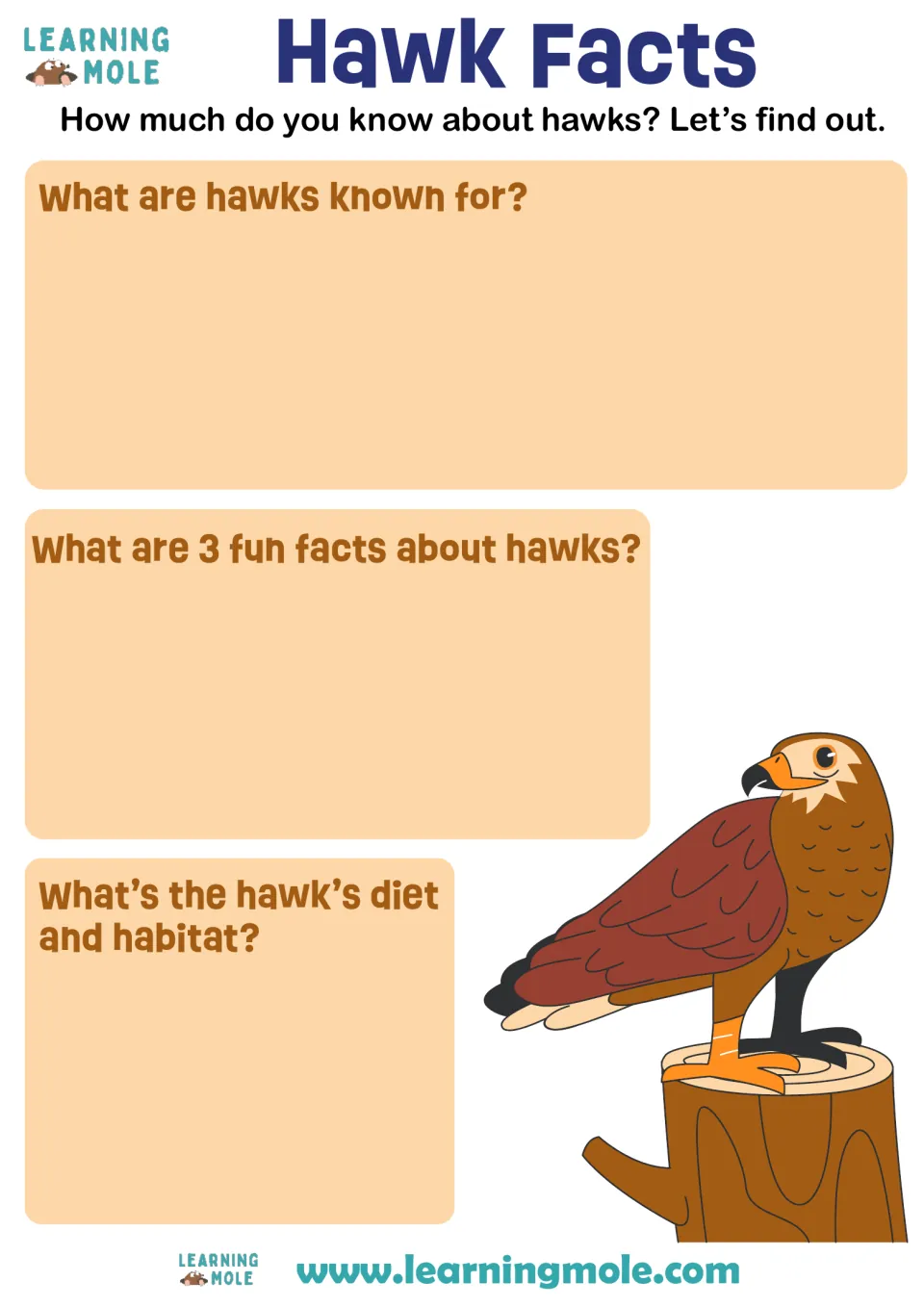 Hawk Facts: students write what hawks are known for, 3 fun facts, and the hawk's diet and habitat, beside a perched hawk