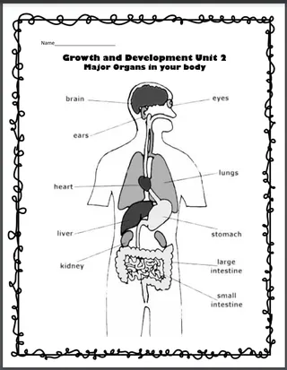 Health 2nd Grade Unit 2: Growth and Development – sample page 2