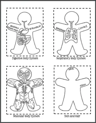 Health 2nd Grade Unit 2: Growth and Development – sample page 3