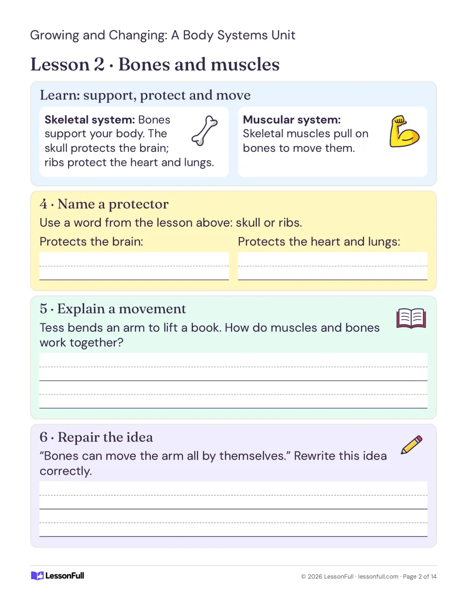 Lesson 2 explains how bones protect organs and muscles pull on bones, followed by three practice activities.