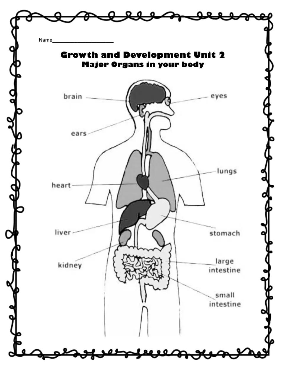Major organs in your body: labeled diagram of brain, eyes, ears, lungs, heart, liver, stomach, kidney and intestines