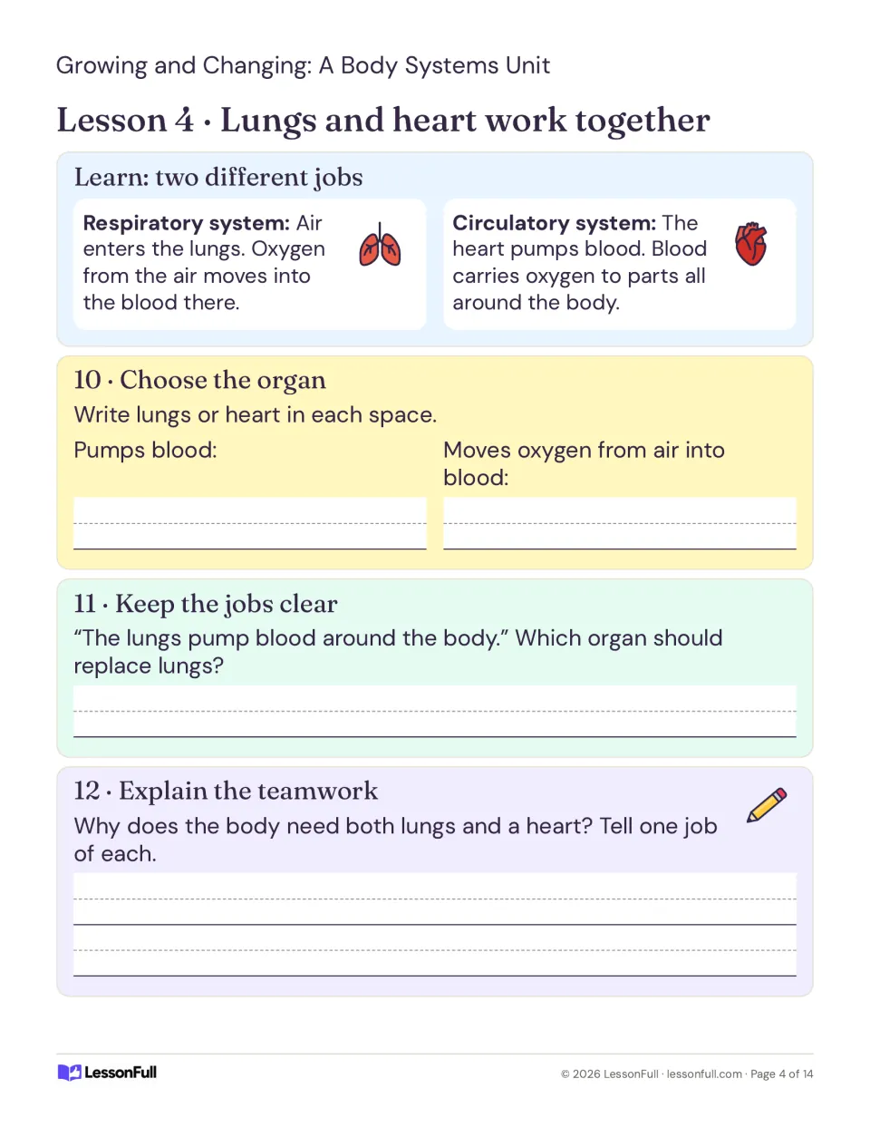 Lesson 4 distinguishes lungs moving oxygen into blood from the heart pumping blood, with three activities.