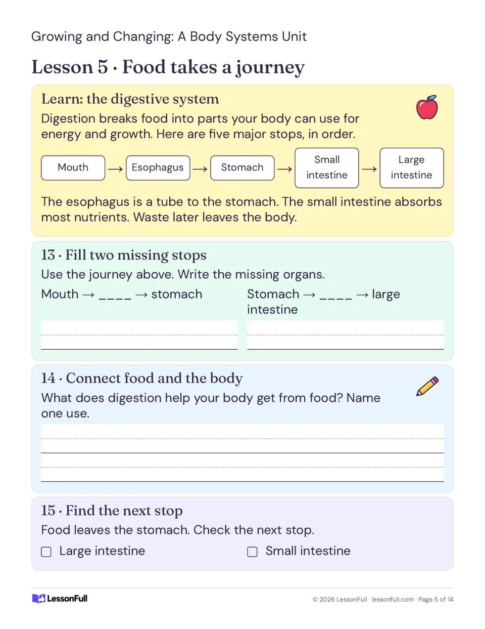 Lesson 5 traces food from mouth to esophagus, stomach, small intestine, and large intestine, with practice.