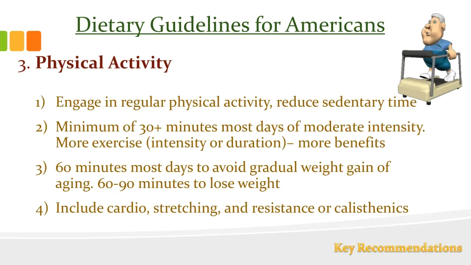 Recommendation 3 slide on physical activity, exercise duration, cardio, stretching, and resistance exercise.