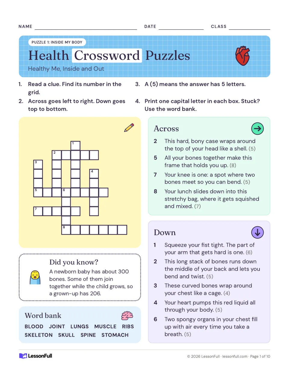 Puzzle 1 Inside My Body crossword with clues on skull, skeleton, joints, muscles and lungs, plus a word bank and fun fact