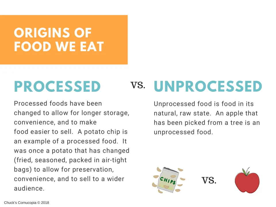 Food origins lesson compares processed and unprocessed foods, using a potato chip and an apple as examples