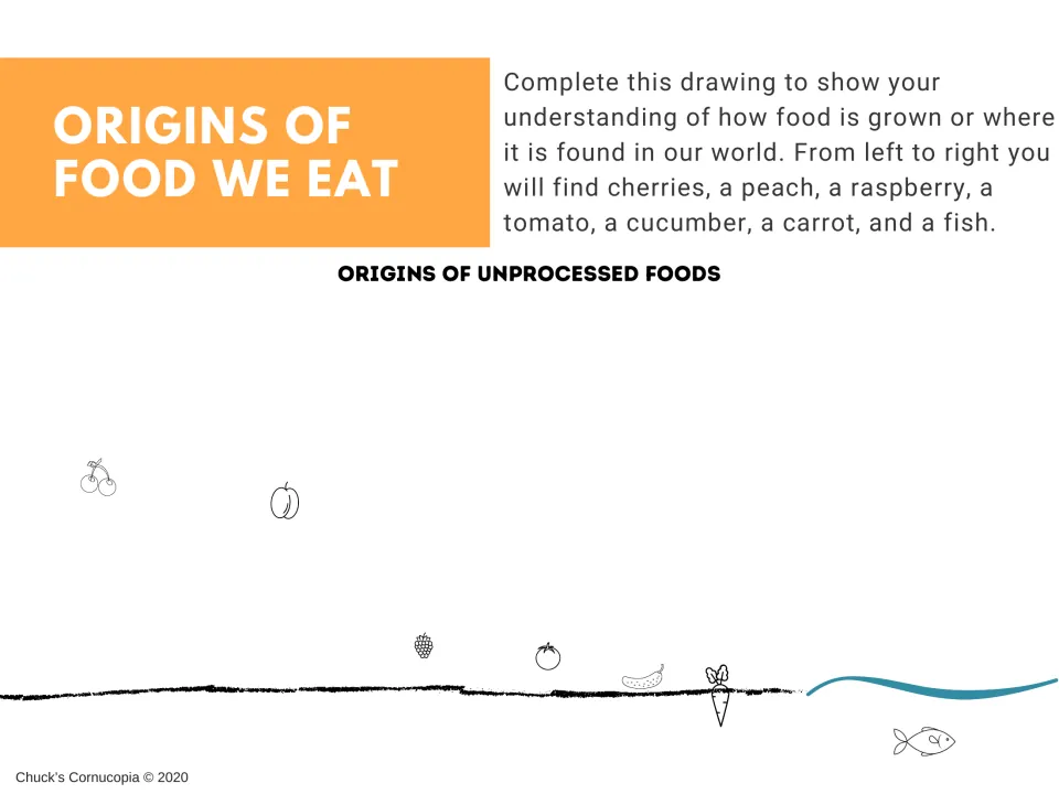 Food origins drawing task asks students to show where cherries, peaches, raspberries and four more foods grow or live