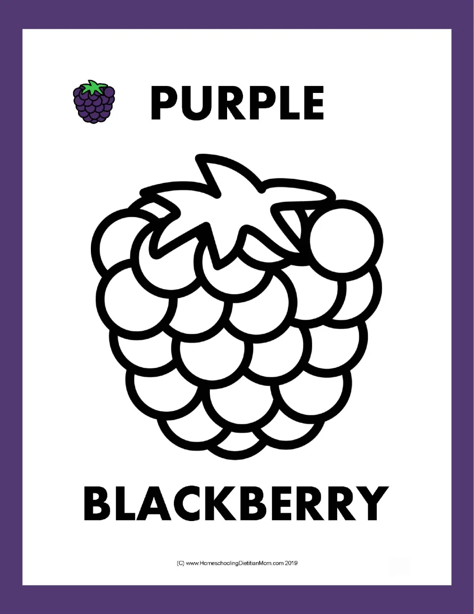 Purple blackberry: students color a berry outline made of round drupelets with a leafy top, labeled PURPLE and BLACKBERRY