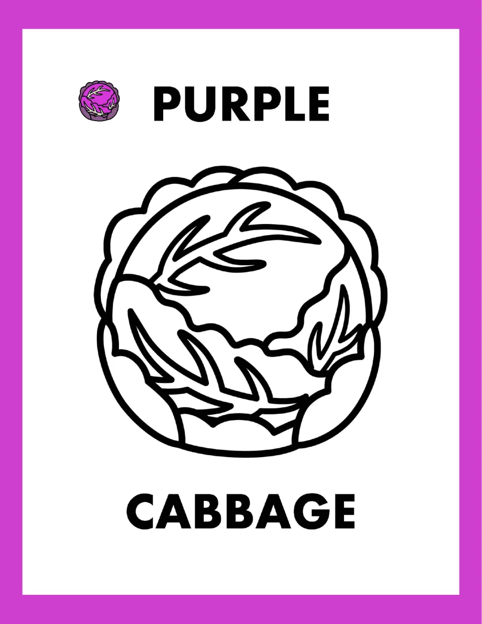 Purple cabbage: students color a round cabbage head outline with veined leaves, labeled with the words PURPLE and CABBAGE