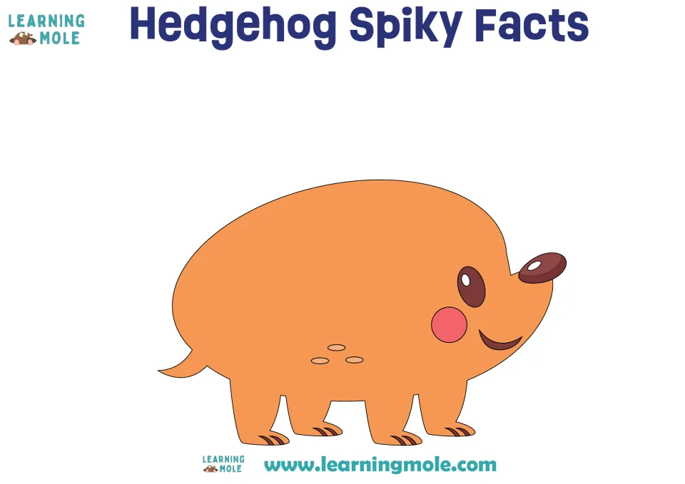 Hedgehog Spiky Facts craft base: an orange hedgehog body with no spikes, where students glue their written fact strips