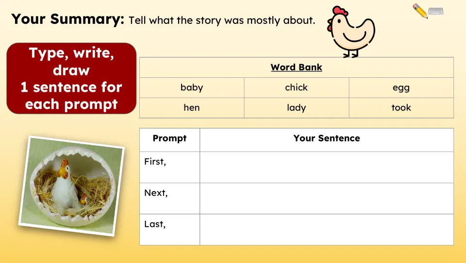 Summary activity uses First, Next, and Last prompts and a word bank: baby, chick, egg, hen, lady, took.