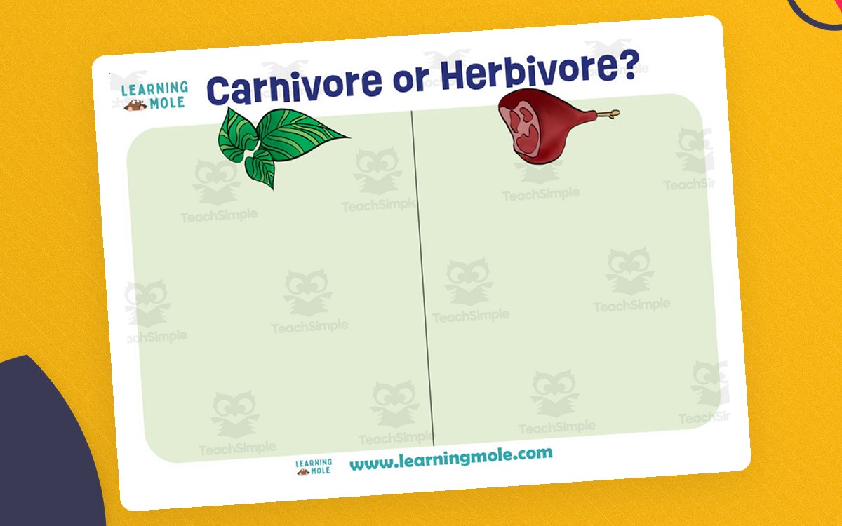 Herbivore and Carnivore Dinosaurs – Sorting Activity preview