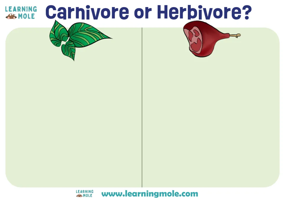 Carnivore or Herbivore? sorting mat: students glue dinosaur cards under the leaf or the meat picture to classify diets