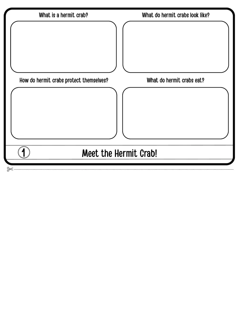 Meet the Hermit Crab, flap 1: students answer what it is, what it looks like, how it protects itself and what it eats