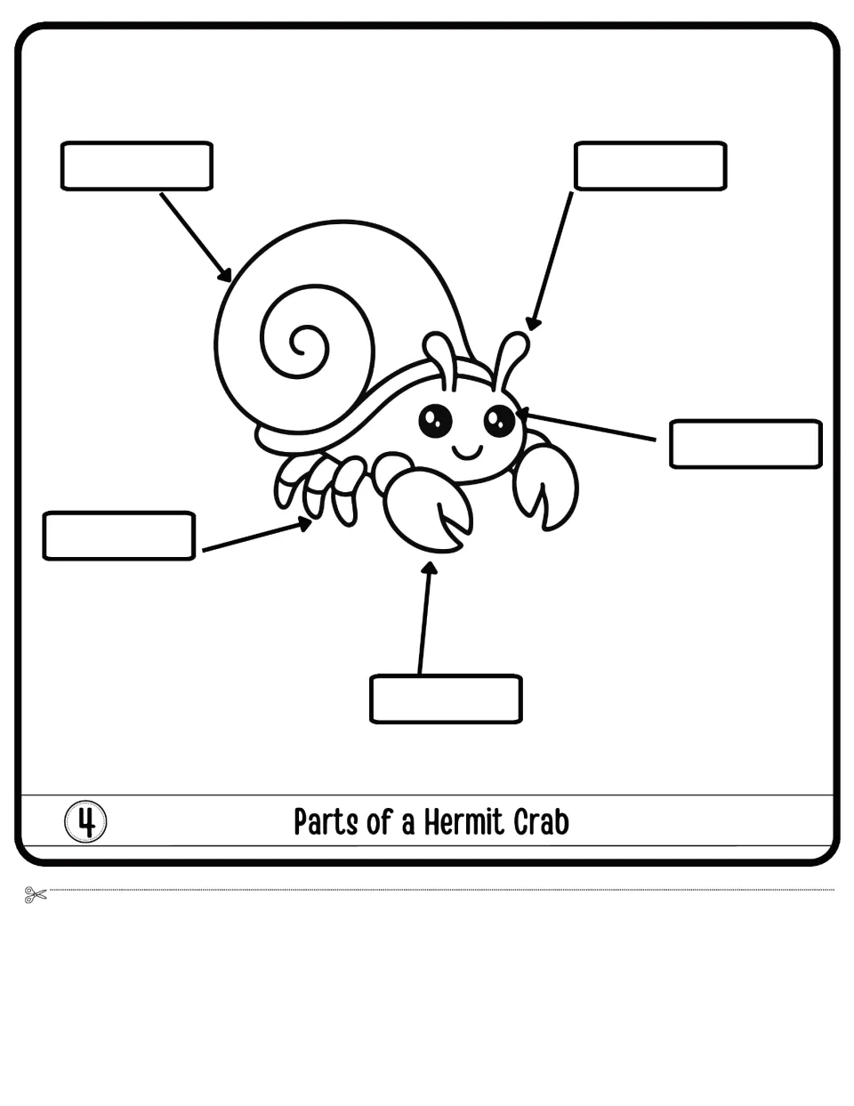 Parts of a Hermit Crab, flap 4: students label five parts on a crab drawing: shell, antenna, eye, legs and claw