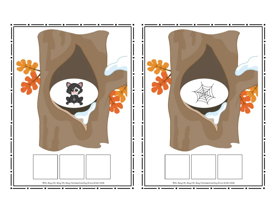 CVC picture cards 5–6 in the no-word set show a cat and a web for students to spell using letter tiles